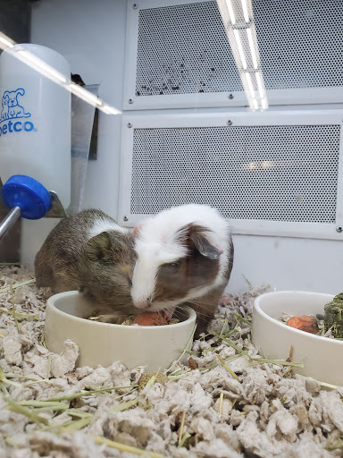 Pet Supply Store «Petco Animal Supplies», reviews and photos, 2353 Myers St, Oroville, CA 95966, USA