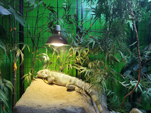 Pet Store «Parker Exotic Pets», reviews and photos, 17880 Cottonwood Dr, Parker, CO 80134, USA