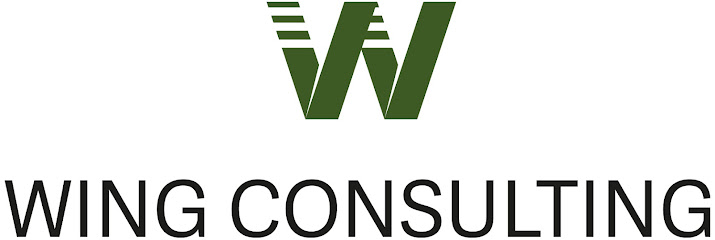 Wing Consulting GmbH