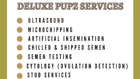Deluxe Pupz Pet Ultrasound & Microchipping Southampton