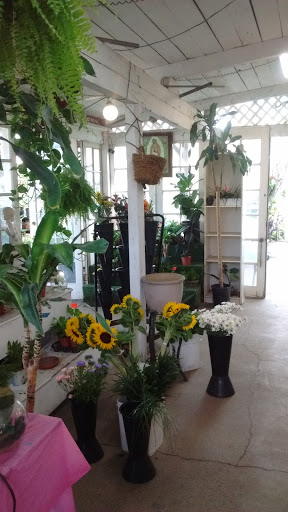 Plant Nursery «Bonita Nursery & Florists», reviews and photos, 3510 Santa Fe Ave, Long Beach, CA 90810, USA