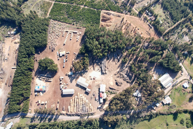 Sociedad De Transporte Y Aserradero Benjamin Muñoz LTDA