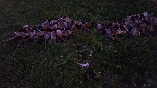 Sporting Goods Store «Highland Hideaway Hunting», reviews and photos, 3127 160th St, Riverside, IA 52327, USA