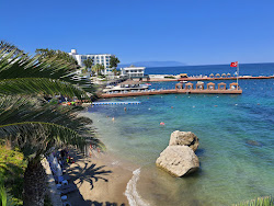 Infinity by Yelken Plaji'in fotoğrafı otel alanı