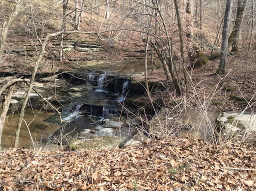 Night Club «Union Camp Waterfall», reviews and photos, Union Camp Rd, Lafayette, TN 37083, USA