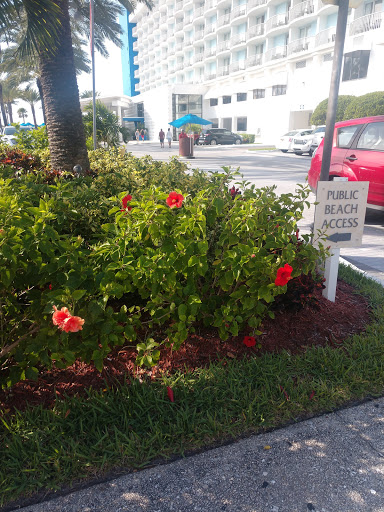 Gift Shop «Beach Bazaar», reviews and photos, 401 Mandalay Ave, Clearwater, FL 33767, USA