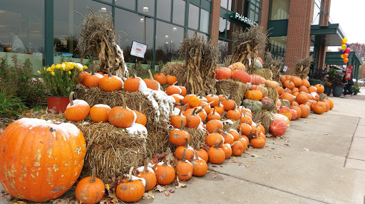 Grocery Store «Lunds & Byerlys Plymouth», reviews and photos, 3455 Vicksburg Ln N, Plymouth, MN 55447, USA