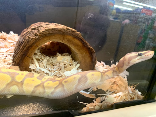 Pet Supply Store «PetSmart», reviews and photos, 1734 Walden Ave, Cheektowaga, NY 14225, USA