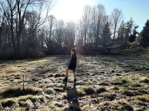 Non-Profit Organization «Museum of American Bird Art at Mass Audubon», reviews and photos, 963 Washington St, Canton, MA 02021, USA