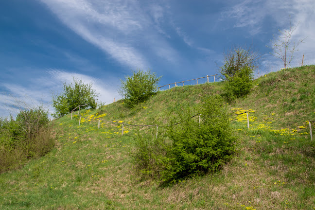 knp.nemzetipark.gov.hu