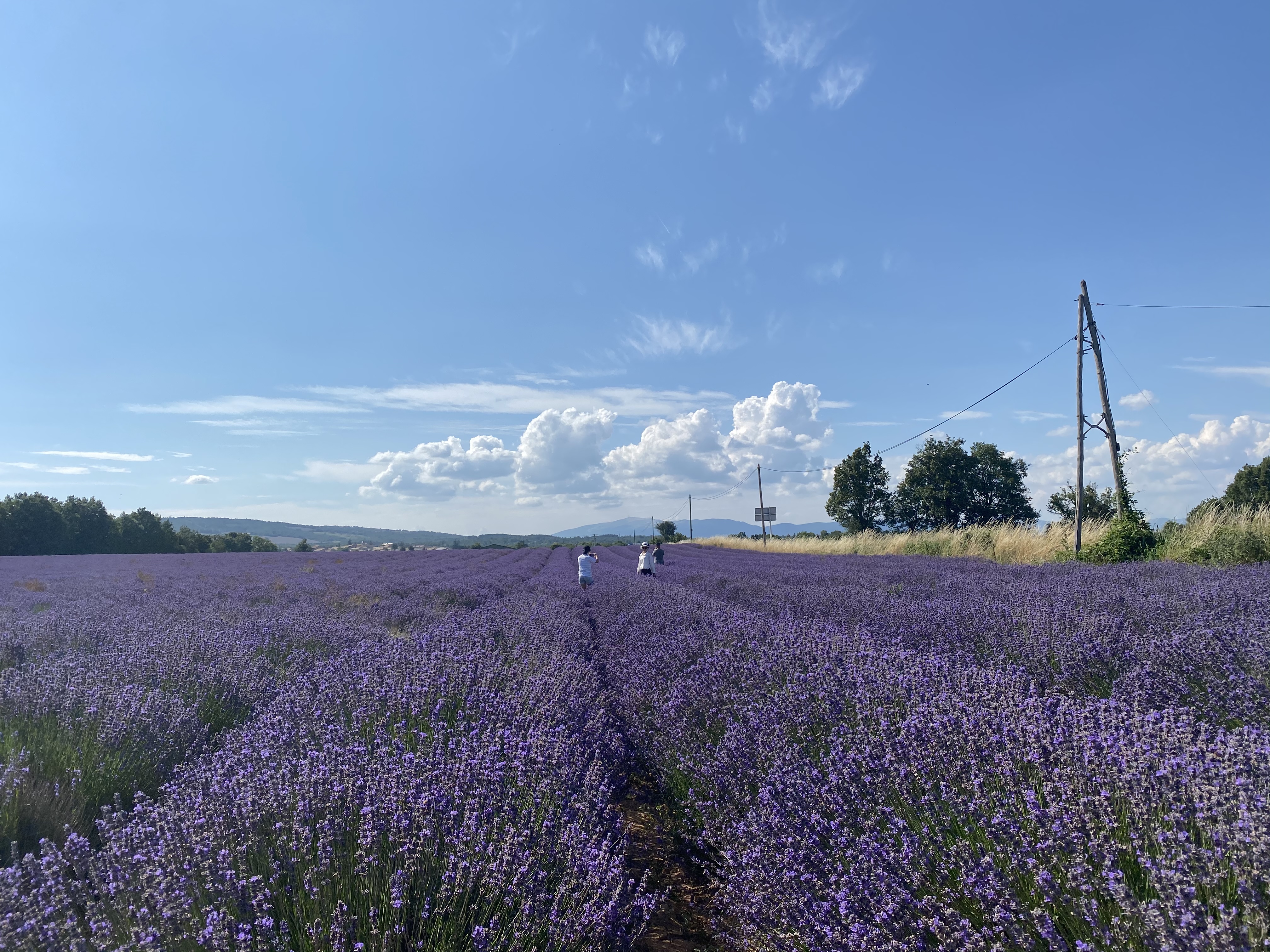 Photo n° 6 de l'avis de Yaojie.h fait le 28/07/2021 à 16:54