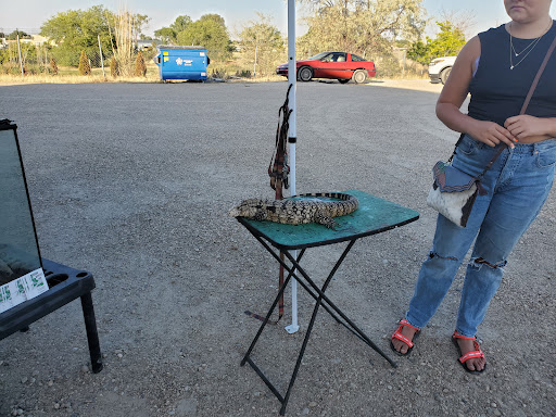 Drive-in Movie Theater «Terrace Drive-In Theatre», reviews and photos, 4011 S Lake Ave, Caldwell, ID 83605, USA