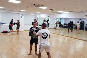 Viking Fight Fitness - Muay Thai classes image