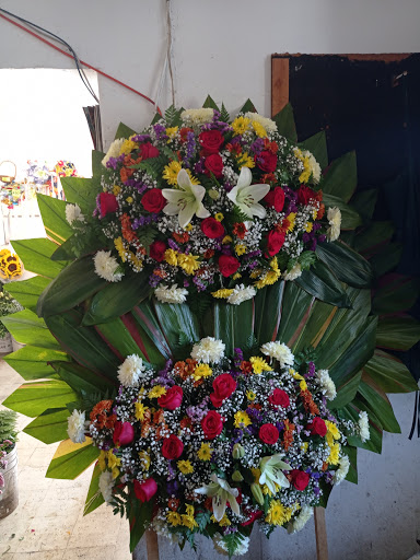 Florist Division – Villa de Álvarez