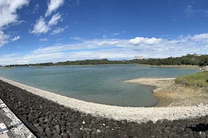 Renyitan Reservoir image