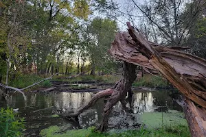 Fox River Fen Nature Preserve image