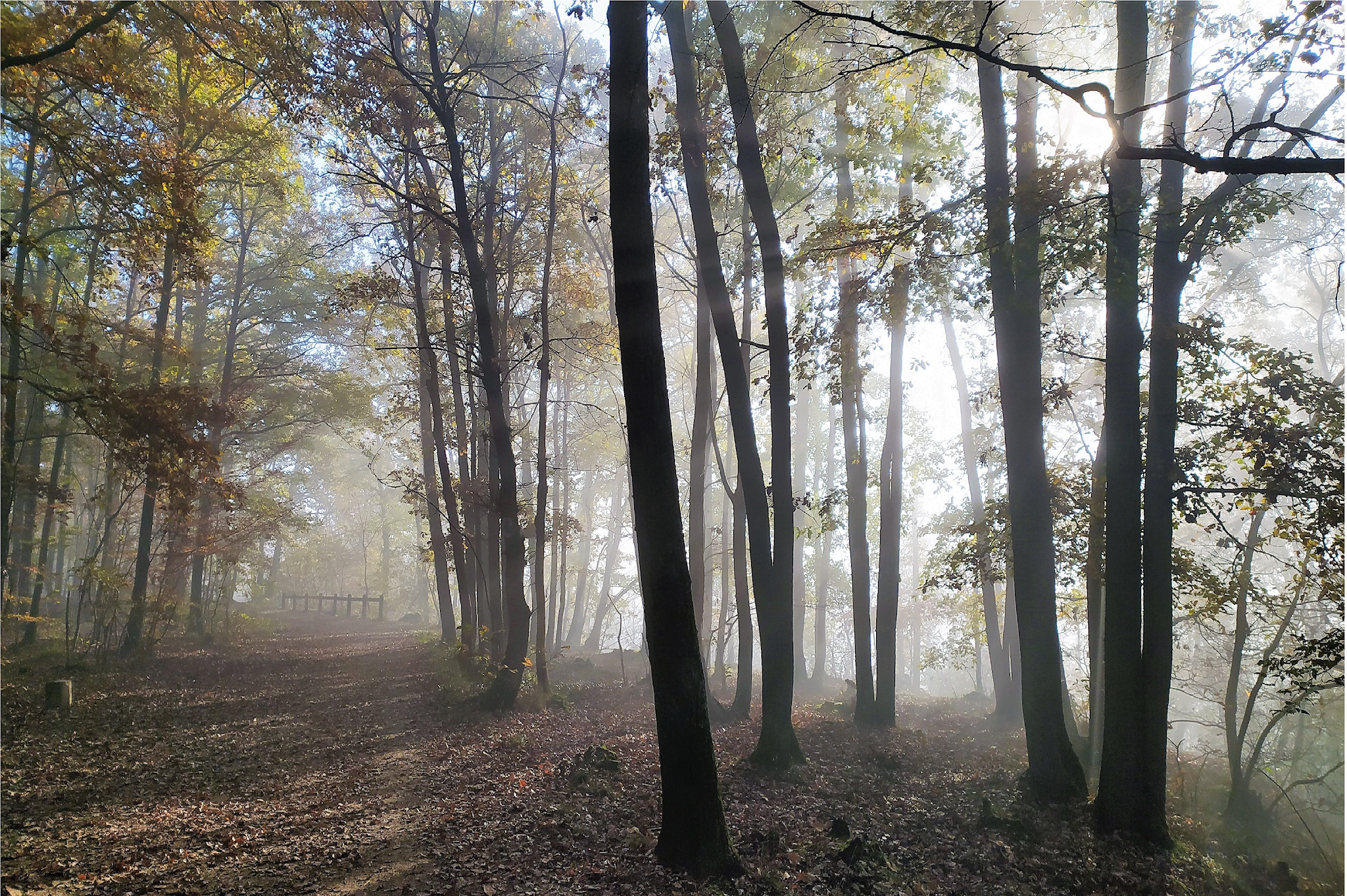 Photo n° 19 de l'avis de François. fait le 21/11/2021 à 12:37
