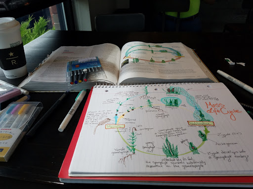 Coffee Shop «Starbucks», reviews and photos, 240 US-202, Flemington, NJ 08822, USA