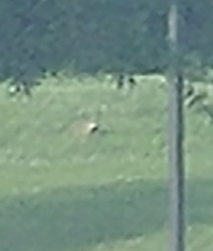 Warehouse club «BJ’s Wholesale Club», reviews and photos, 2250 York Crossing Dr, York, PA 17408, USA