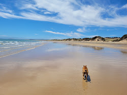 Photo de Moorland Beach avec rivage droit, long