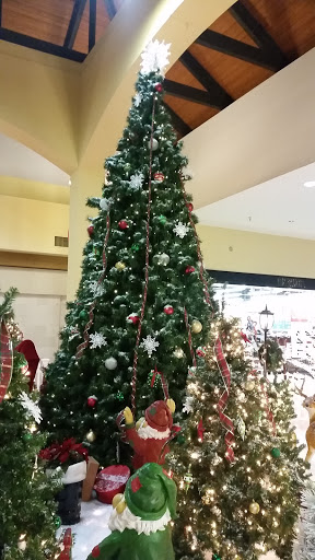 Shopping Mall «Mesilla Valley Mall», reviews and photos, 700 S Telshor Blvd, Las Cruces, NM 88011, USA