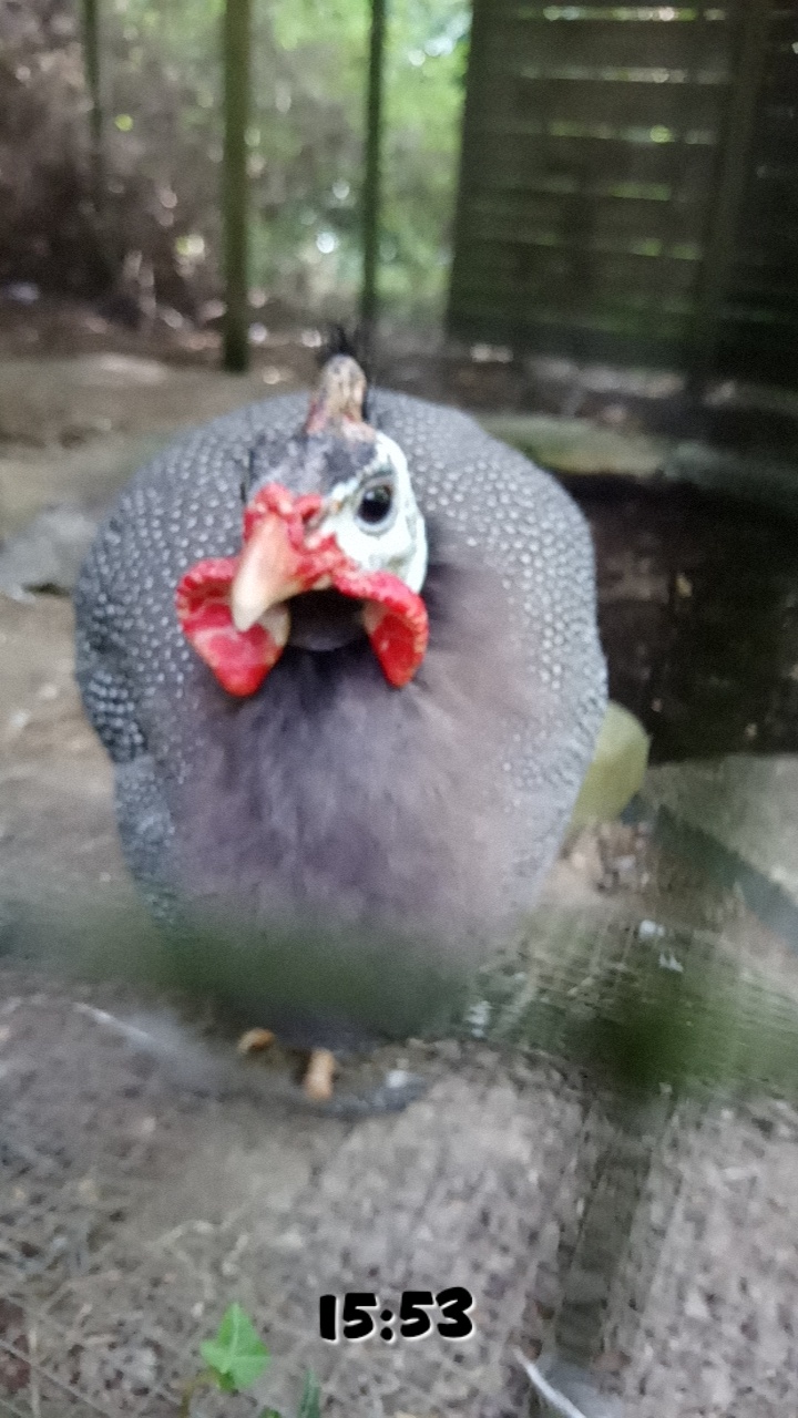 Photo n° 5 de l'avis de gwendo.a fait le 17/08/2018 à 16:06