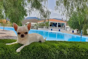 Resort Canino Didugal image