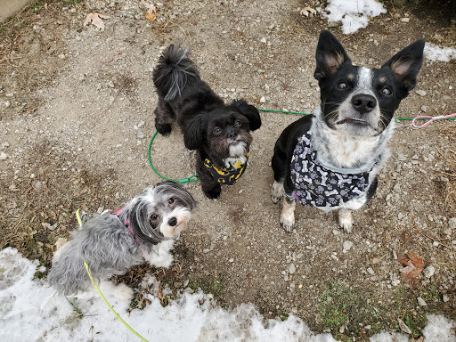 811 N 4th St, St Joseph, IL 61873, USA