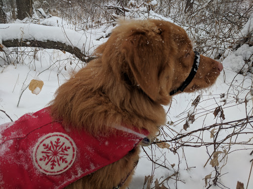 Nature Preserve «Indian Creek Nature Center», reviews and photos, 5300 Otis Rd, Cedar Rapids, IA 52403, USA