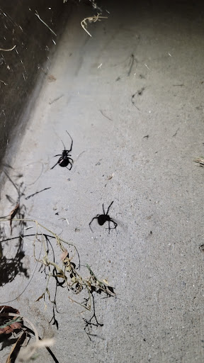 Moat Termite & Pest Control image