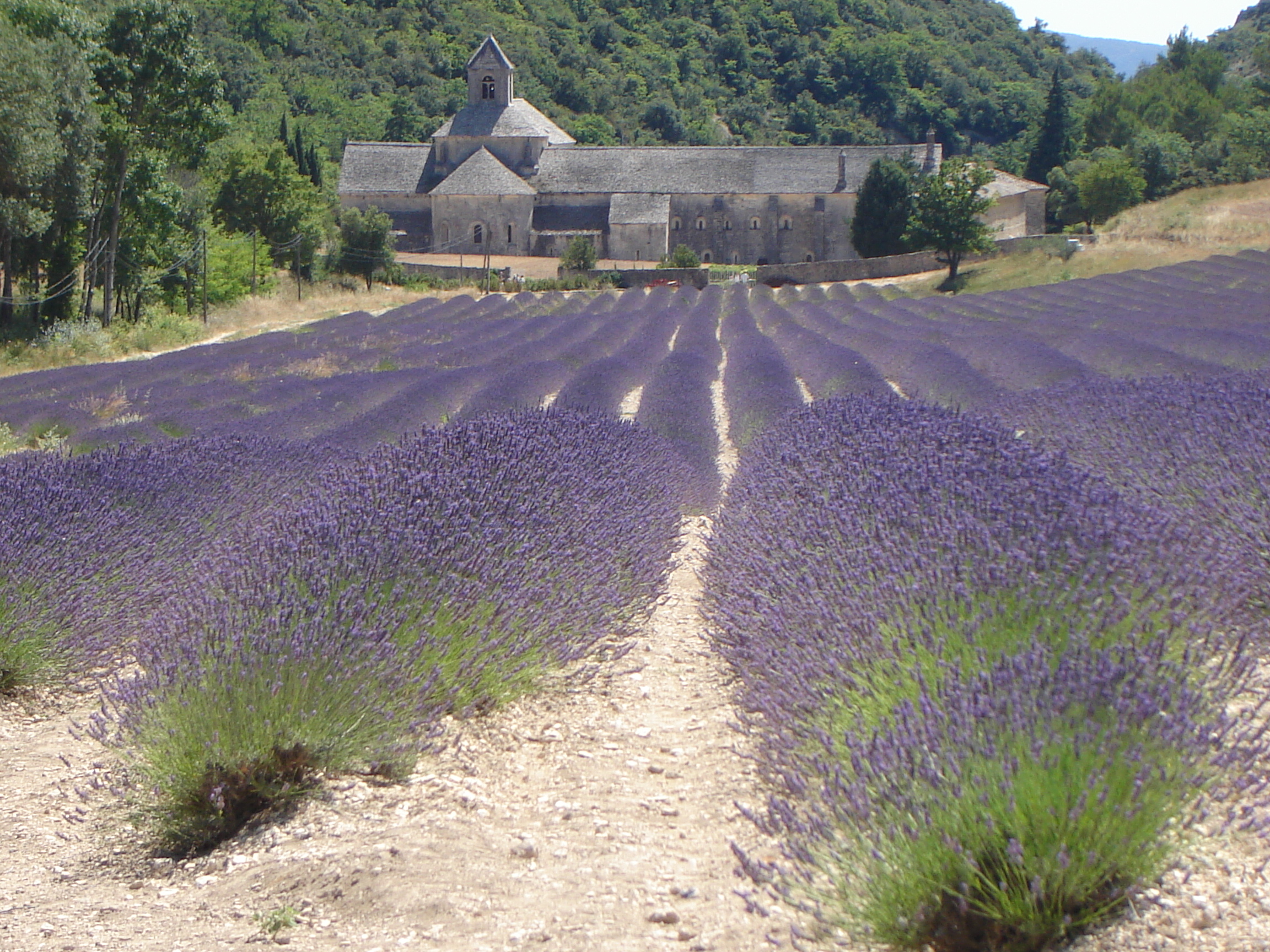 Photo n° 1 de l'avis de Franck.o fait le 31/03/2023 à 18:15
