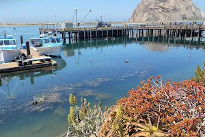 Morro Bay T Pier (Otter Viewing Area) image