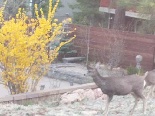 Motorcycle Dealer «Apache Motorcycles Scottsdale», reviews and photos, 7340 E McDowell Rd, Scottsdale, AZ 85257, USA