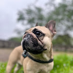 Photo n° 1 de l'avis de Philippe.e fait le 24/05/2023 à 09:55 pour Clinique Vétérinaire de Parme à Biarritz