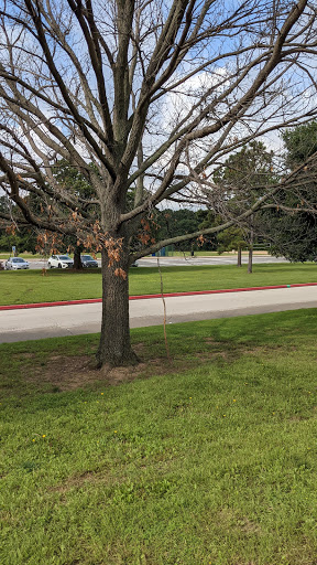 Park «Hurst Community Park», reviews and photos, 601 Precinct Line Rd, Hurst, TX 76053, USA