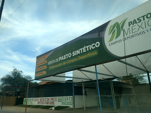 Diseñador paisajista Mexicali