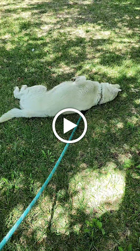 Park «Rainbow Family Park», reviews and photos, 7151 W Oakey Blvd, Las Vegas, NV 89117, USA