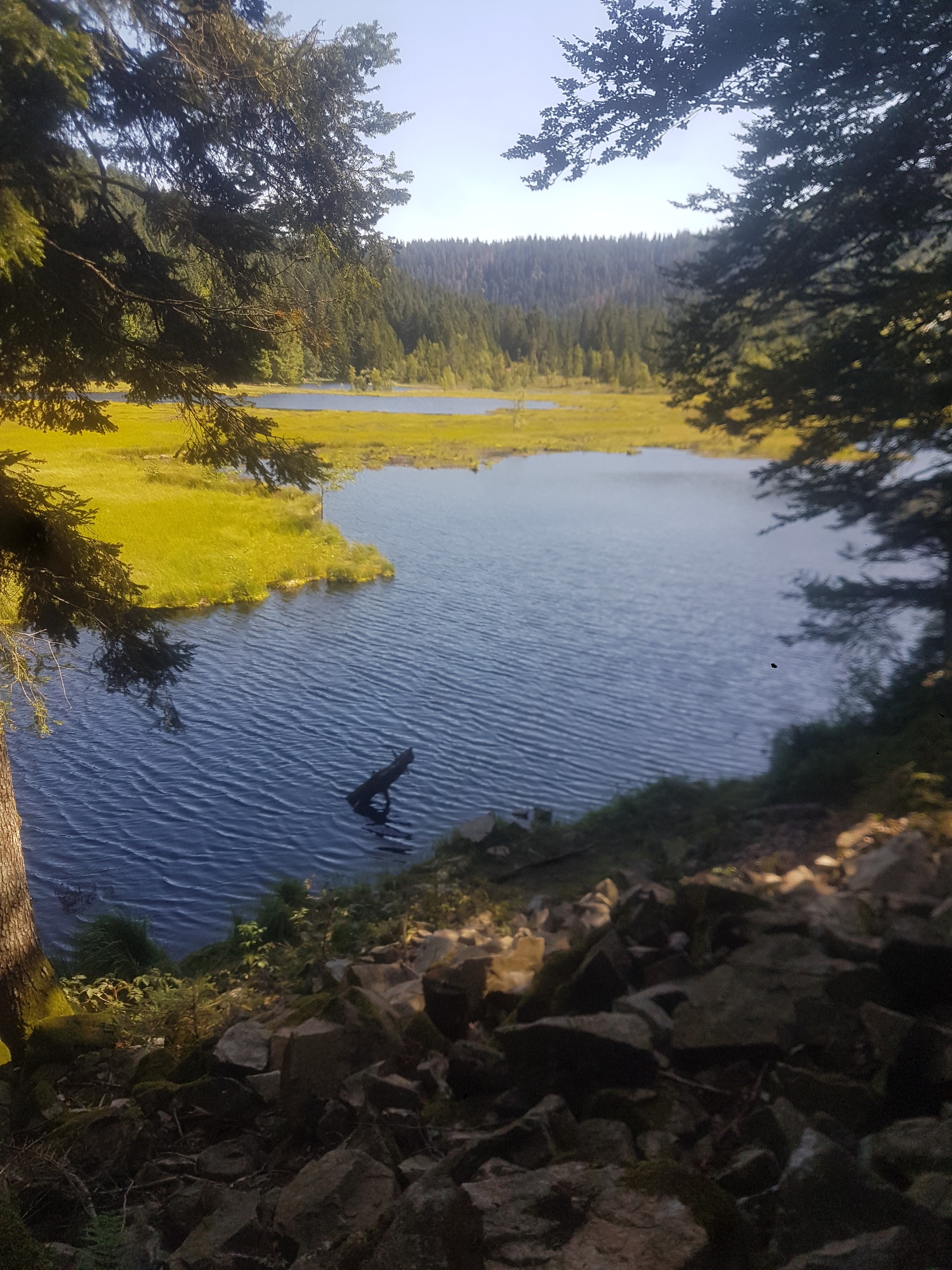 Photo n° 1 de l'avis de Martin.a fait le 23/08/2019 à 16:44
