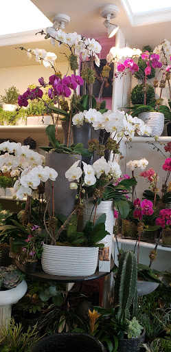 Florist «Scarsdale Flower Boutique», reviews and photos, 7 Harwood Ct, Scarsdale, NY 10583, USA