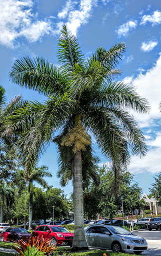 Community Center «Norris Center», reviews and photos, 755 8th Ave S, Naples, FL 34102, USA