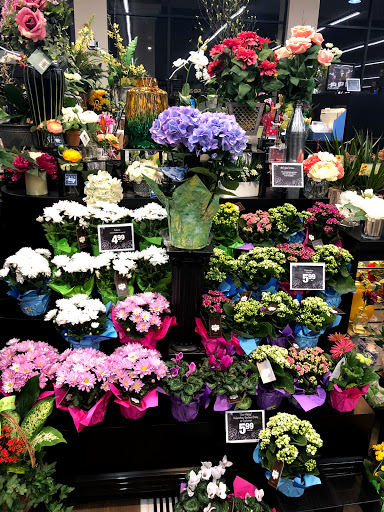 Stater Bros. Markets image