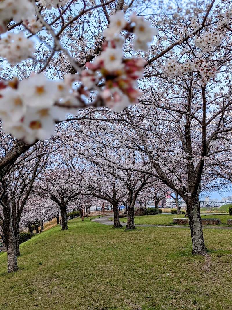 中干出公園野球場