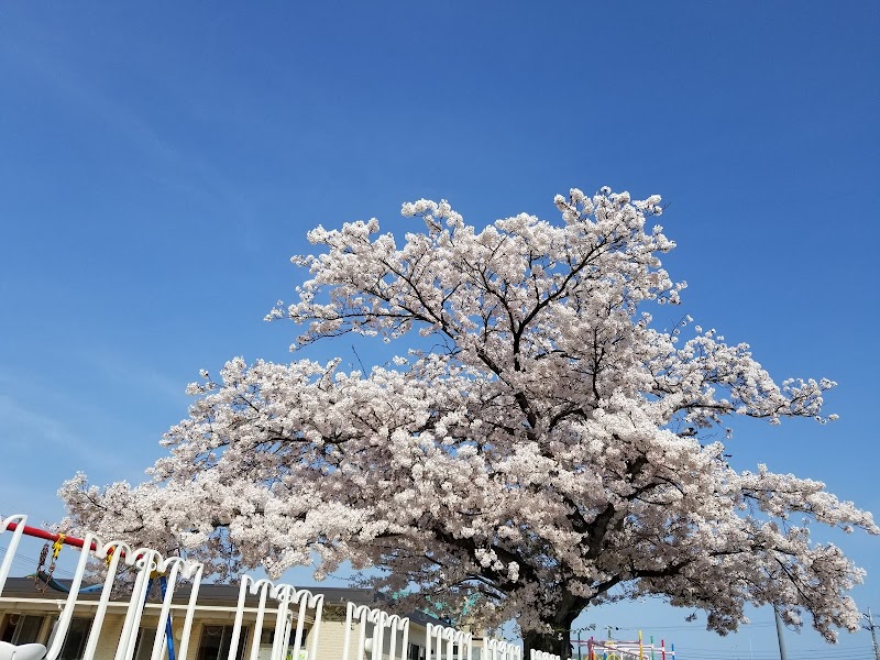 日立市立みやた認定こども園