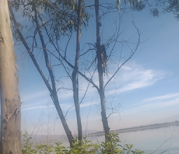 Lagunas de Xico photo