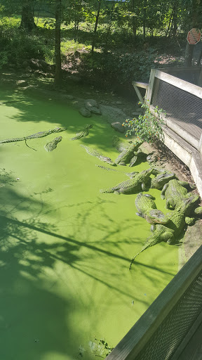 Zoo «Catoctin Wildlife Preserve and Zoo», reviews and photos, 13019 Catoctin Furnace Rd, Thurmont, MD 21788, USA