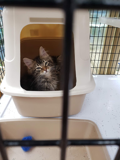 Pet Supply Store «Pet Supermarket», reviews and photos, 501 Cypress Gardens Blvd, Winter Haven, FL 33880, USA