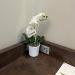 Photo n°2 de l'avis de Emanuele.i fait le 19/08/2022 à 13:20 sur le  Hotel Concord Torino à Turin