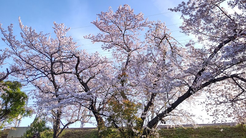 池尻第8公園