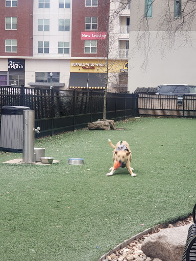 Downtown Dog Park
