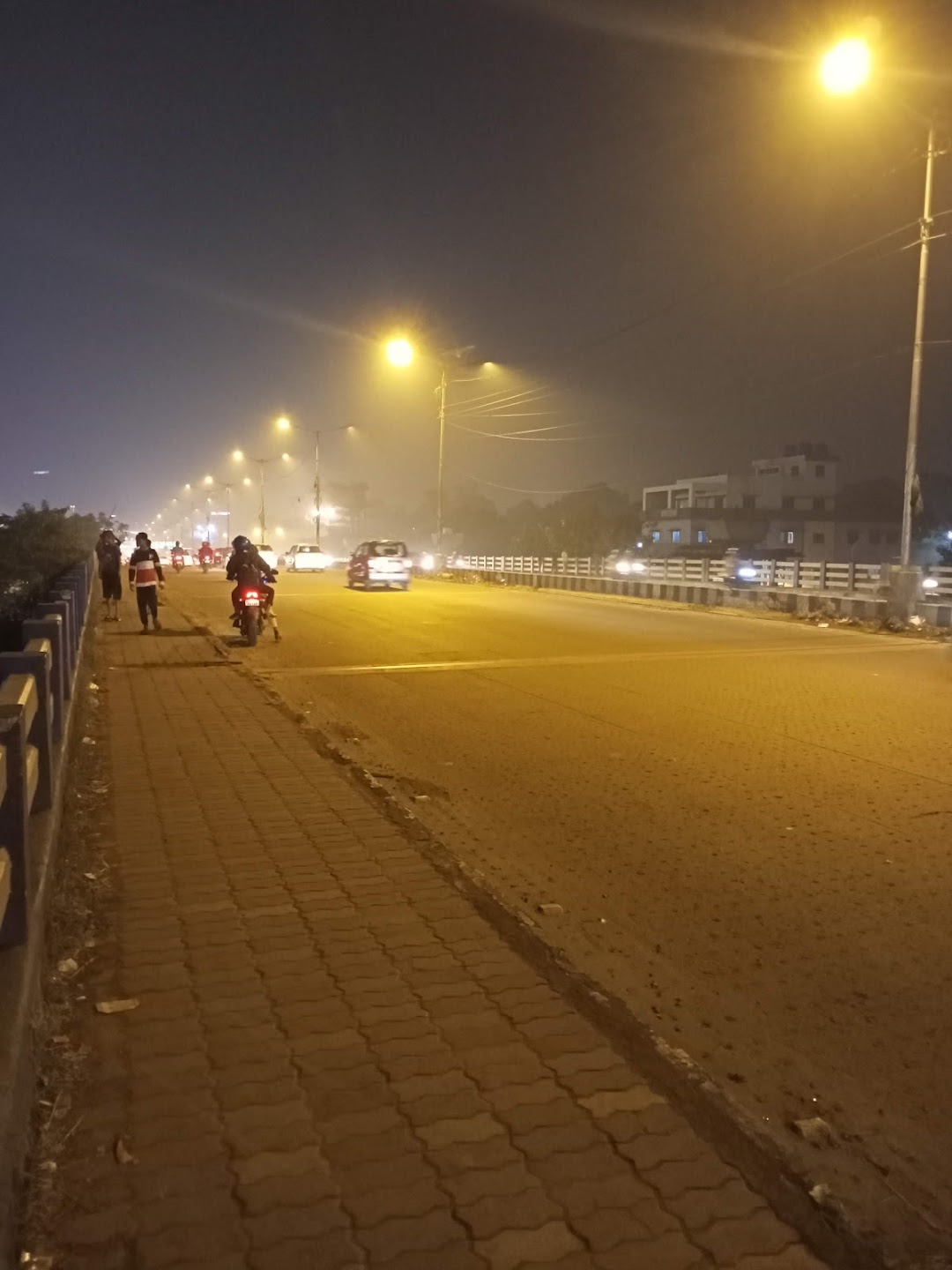 V.I.P. Ambedkar Bridge